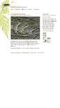 Mobile Screenshot of carabus.ch