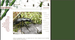 Desktop Screenshot of carabus.eu