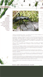 Mobile Screenshot of carabus.eu